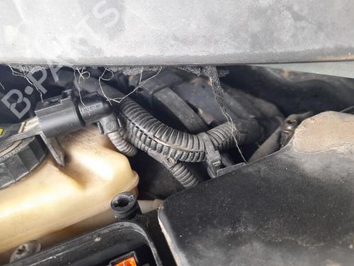 Used Servo brake AUDI Q7 (4LB) 3.0 TDI quattro (233 hp) 29884530