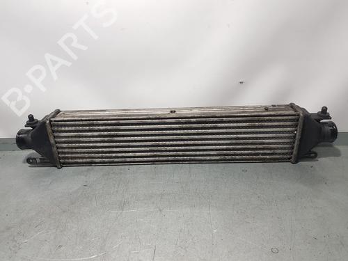 Intercooler FIAT DOBLO Cargo (263_)  | BP8533893M30 