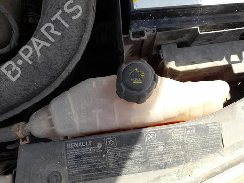 Used Expansion tank RENAULT CLIO III (BR0/1, CR0/1) 1.5 dCi (BR17, CR17) (86 hp) 28732978