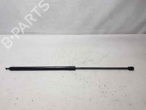 Used Hood lift support RENAULT MEGANE III Hatchback (BZ0/1_, B3_) [2008-2025]  14011760