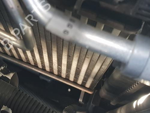 Used Intercooler NISSAN QASHQAI II SUV (J11, J11_) [2013-2025]  12505442