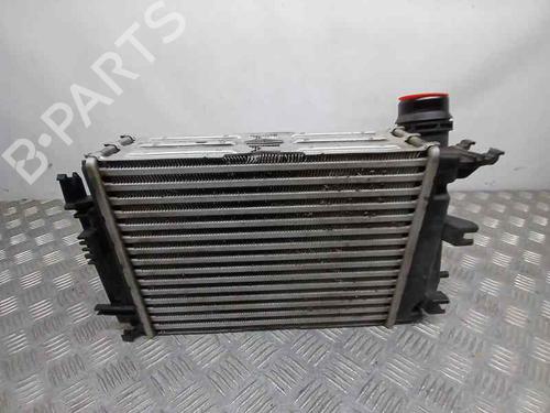 Intercooler NISSAN QASHQAI III (J12)  | BP22971025M30 