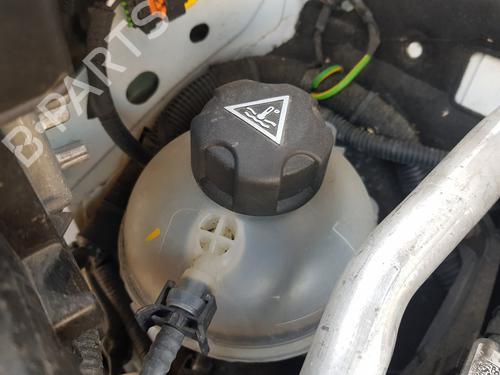 Used Expansion tank PEUGEOT 5008 II (MC_, MJ_, MR_, M4_) 1.5 BlueHDi 130 (MCYHZJ, MCYHZR, MCYHZX) (131 hp) 16113597