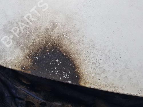 Hood OPEL MERIVA B MPV (S10)  | BP19575466C1 