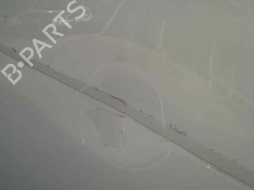 Right front door SMART FORTWO Coupe (451)  | BP1962830C3 