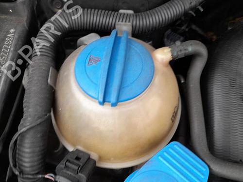 Used Expansion tank SEAT TOLEDO III (5P2) 1.9 TDI (105 hp) 29432653