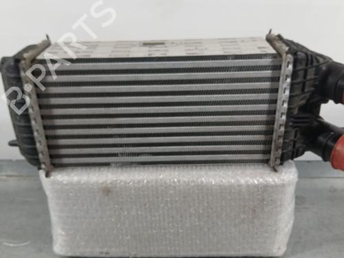 Intercooler Intercooler CITROËN C3 III (SX) 1.5 BlueHDi 100 (SXYHYP, SXYHTU) (102 hp) 36498212 36498212