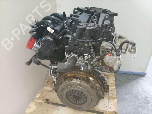 Engine FORD FOCUS III  | BP10171017M1 