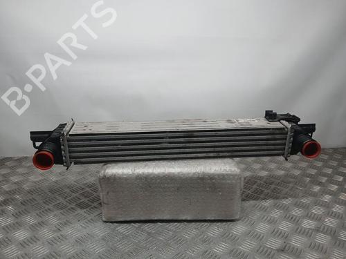 Used Intercooler FIAT FIORINO Box Body/MPV (225_) [2007-2025]  23080703