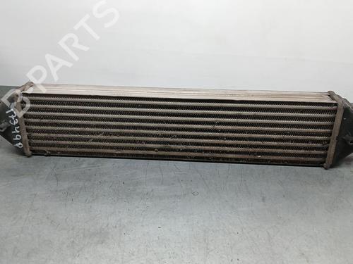 Used Intercooler Intercooler FIAT BRAVO II (198_) 1.9 D Multijet (198AXC1B) (150 hp) 31190607 31190607