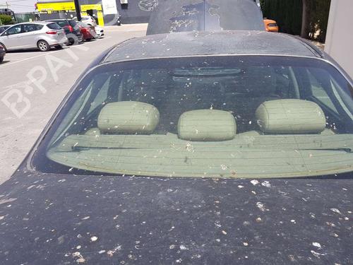 Used Bootlid window ROVER 75 (RJ) [1999-2005]  25800812