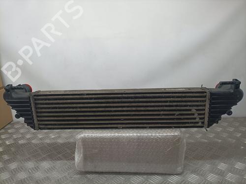 Intercooler FIAT TIPO Estate (356_, 357_)  | BP13751145M30 