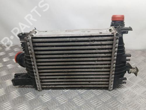 Intercooler RENAULT CAPTUR I (J5_, H5_) | BP25156468M30