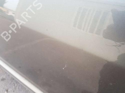 Right front door RENAULT GRAND SCÉNIC II (JM0/1_)  | BP19031541C3 