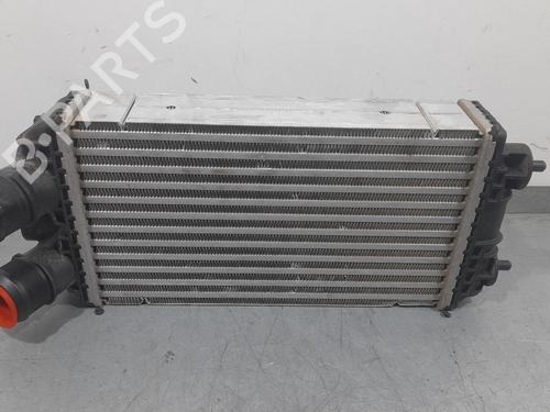 Used Intercooler PEUGEOT 2008 II (UD_, US_, UY_, UJ_, UR_, UC_) [2019-2026]  16756650