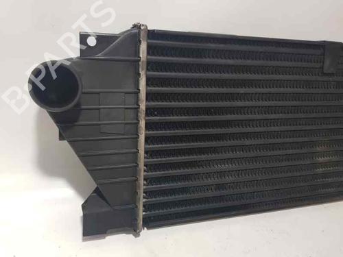Intercooler MERCEDES-BENZ M-CLASS (W163)  | BP5226479M30 