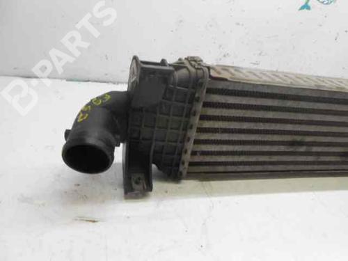 Intercooler FORD FOCUS II (DA_, HCP, DP)  | BP602191M30 