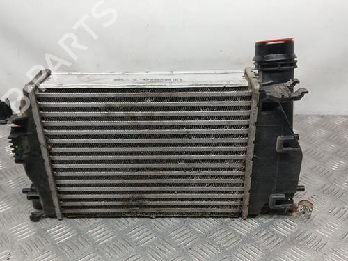 Intercooler RENAULT MEGANE IV Hatchback (B9A/M/N_)  | BP19159983M30