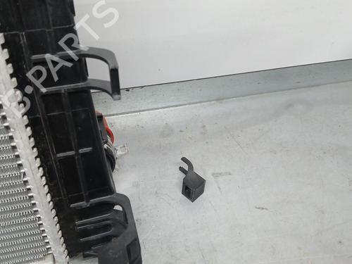 Køler DACIA SANDERO II  | BP21175015M31 