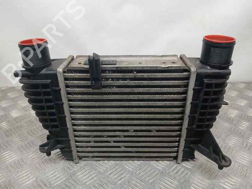 Intercooler RENAULT CLIO III (BR0/1, CR0/1) [2005-2014]  16864683