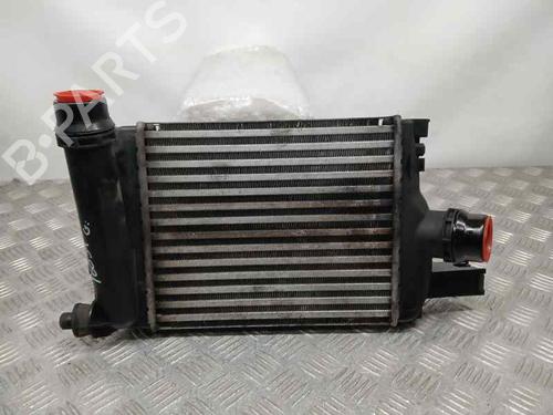 Intercooler DACIA SANDERO II TCe 90 (B8M1, B8MA, B8AC) (90 hp) 21191663