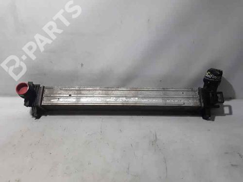 Intercooler RENAULT SCÉNIC III (JZ0/1_) [2008-2016]  7677647