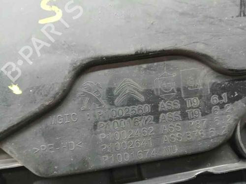 AdBlue tank PEUGEOT 3008 II SUV (MC_, MR_, MJ_, M4_)  | BP20723043M85 