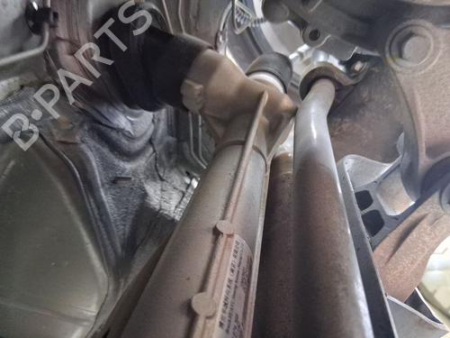 Tannstang/sevrosnekke Tannstang/sevrosnekke 38311702 38311702