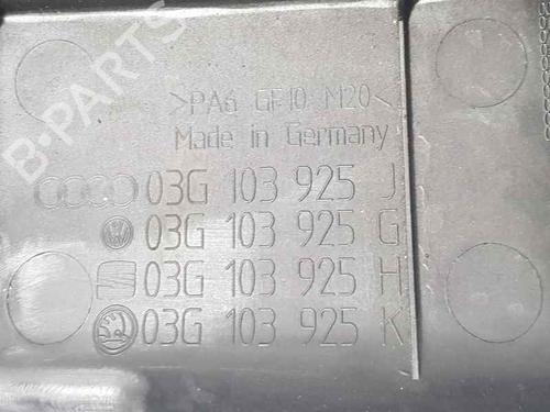 Topbeskyttelse VW GOLF V (1K1) [2003-2010]  11652104