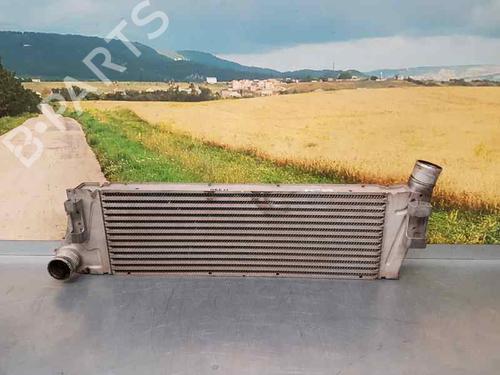 Used Intercooler RENAULT MEGANE II (BM0/1_, CM0/1_) [2001-2012]  3728643