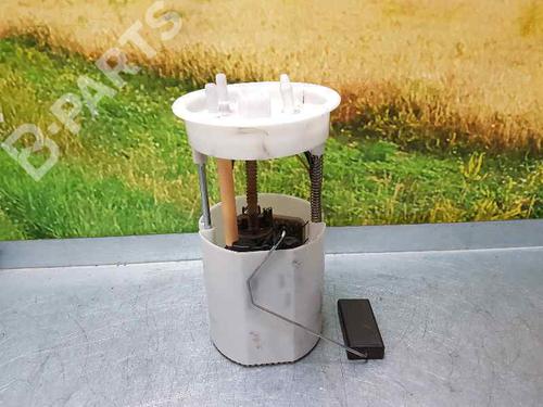 Fuel pump SKODA FABIA II (542)  | BP1970232M76 