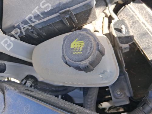 expansion-tank-renault-megane-e-tech-suv-2021-33958379 main image