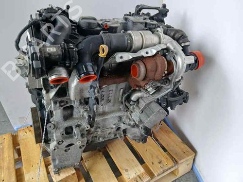 Engine FORD FIESTA VI (CB1, CCN)  | BP15558339M1 