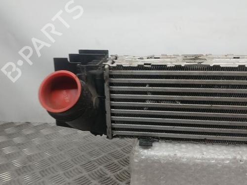Intercooler BMW 1 (F20) 116 d | BP29189359M30