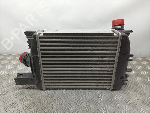 Intercooler DACIA DUSTER (HM_) 1.0 LPG (HMMT) | BP11350249M30 