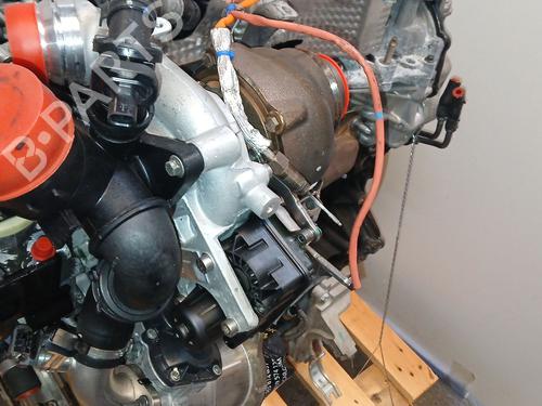 Engine RENAULT TRAFIC III Van (FG_)  | BP23956818M1 