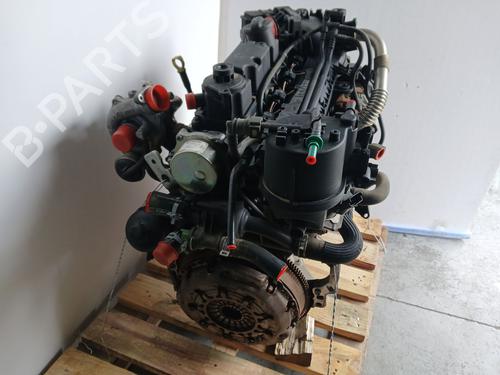 Engine FORD FIESTA VI (CB1, CCN)  | BP18253803M1 