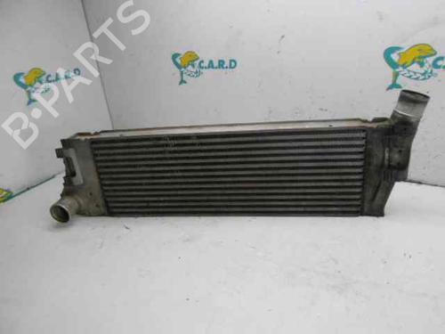 Used Intercooler RENAULT MEGANE II (BM0/1_, CM0/1_) [2001-2012]  123829