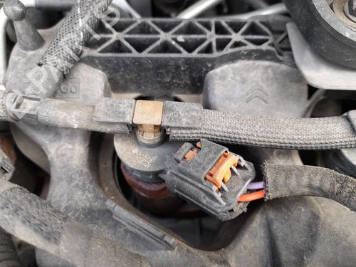 Engine OPEL COMBO Box Body/MPV (K9) 1.5 D | BP29831325M1