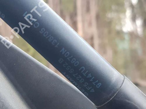 Tailgate lift support AUDI A6 C6 (4F2)  | BP19267102C138 