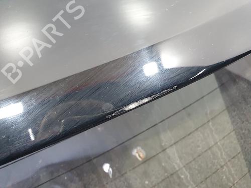 Tailgate FORD FOCUS II (DA_, HCP, DP)  | BP13752927C6 