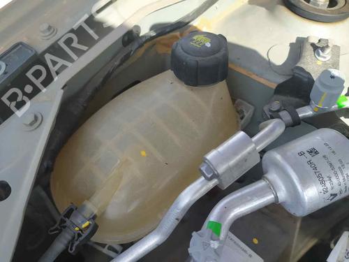 Used Expansion tank DACIA SANDERO II [2012-2025]  21174992