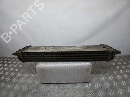 Intercooler FIAT DOBLO Box Body/MPV (223_)  | BP19309410M30 