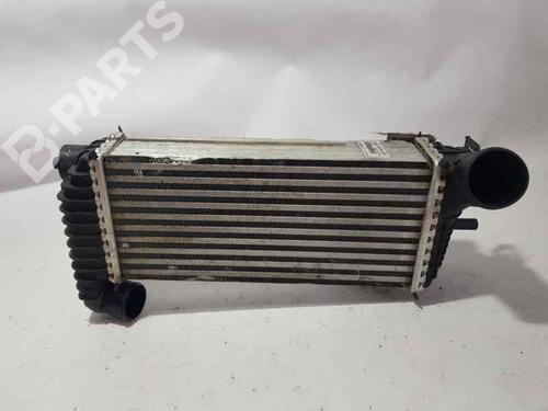 Intercooler FORD TOURNEO CONNECT  | BP8251287M30 