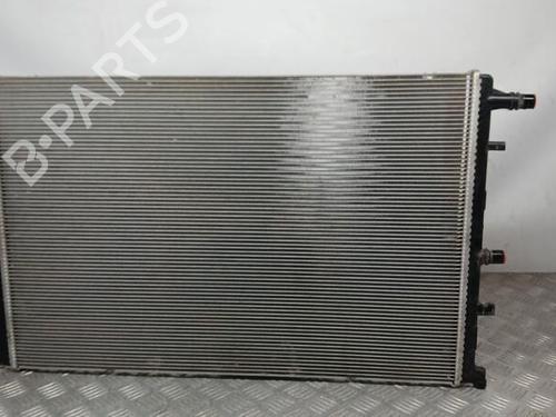 Used Water radiator RENAULT KANGOO / GRAND KANGOO II (KW0/1_) 1.5 dCi 80 (KW15) (80 hp) 29889516