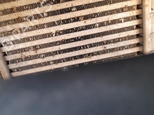 Used Intercooler RENAULT CLIO III (BR0/1, CR0/1) 1.5 dCi (75 hp) 29891094