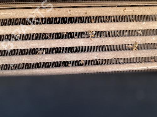 Used Intercooler FORD FOCUS C-MAX (DM2) 1.8 TDCi (115 hp) 26958714