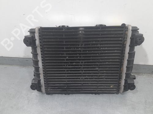Water radiator CUPRA FORMENTOR (KM7, KMP) 2.0 TSI 4Drive | BP32473931M31