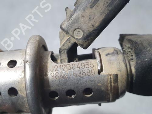 Other CITROËN BERLINGO Box Body/MPV (K9)  | BP14013435O1 