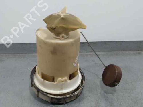 Fuel pump PEUGEOT 306 (7B, N3, N5)  | BP25303353M76 